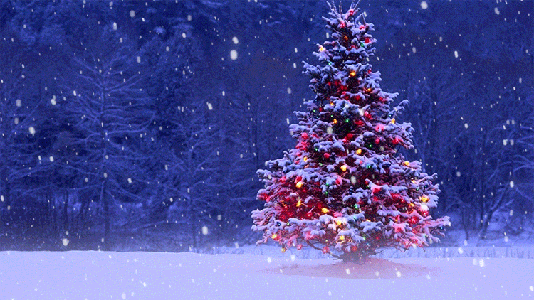 Animated Snowing Christmas Tree Email Backgrounds | ID#: 23122 ...